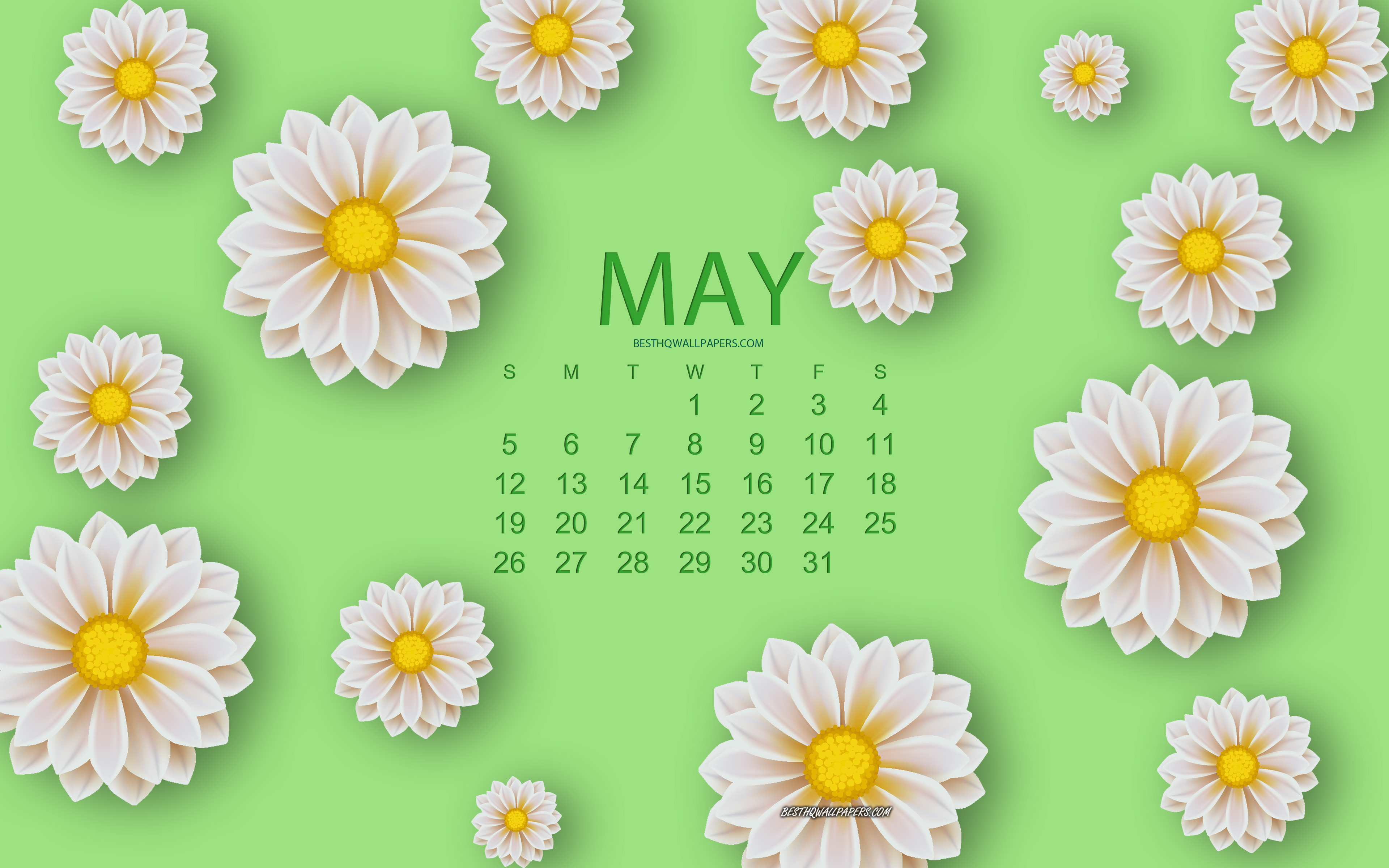 Download wallpapers 2019 May Calendar, white flowers, floral background ...