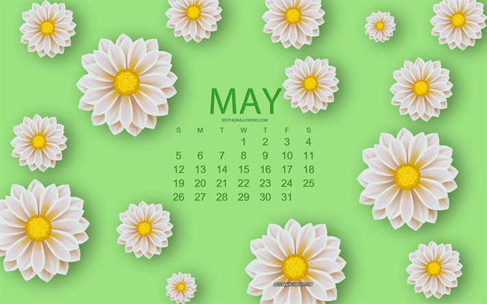 2019 May Calendar, white flowers, floral background, calendar for May 2019, creative art, green background, spring, 2019 calendars