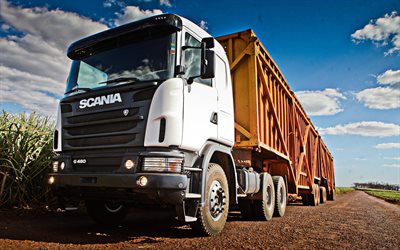 Scania G480, 6x6, grain transportation concepts, truck on the field, new trucks, harvesting, Scania