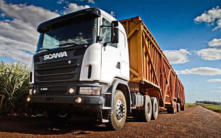 Scania G480, 6x6, grain transportation concepts, truck on the field, new trucks, harvesting, Scania