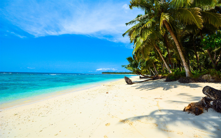 tropical island, ocean, beach, palm trees, white sand, summer travel