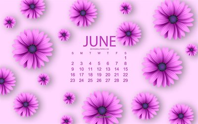 2019 Juni Kalender, lila blommor, lila blommig bakgrund, kalender f&#246;r juni 2019, kreativ konst, 2019 begrepp, kalendrar, Juni