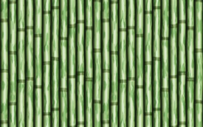 緑の竹は質感, 4k, 竹感, 竹杖, 緑の木の背景, 竹