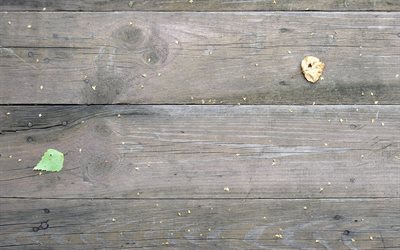 velho cinza t&#225;buas de madeira, cinza de madeira de fundo, horizontal de placas de, folhas verdes, textura de madeira