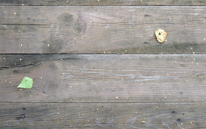 vecchio grigio, assi di legno, di legno grigio di sfondo, tavole orizzontali, foglie verdi, texture legno