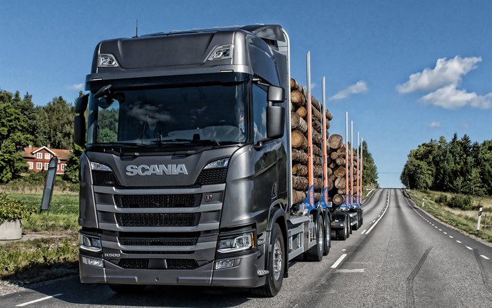 scania r500, 2019, holz-tr&#228;ger, neue graue r500 -, holz-transport, neue trucks, scania