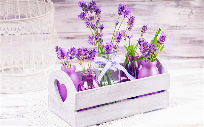 lavendel, v&#229;rens blommor, lavendel i en l&#229;da, lila blommor, blomma konst