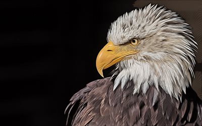 bald eagle, rovdjur, 4k, vektorgrafik, bald eagle ritning, kreativ konst, bald eagle konst, vektorritning, usa symbol, rovfåglar