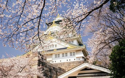 Osaka, pal&#225;cio, primavera, sakura, flor, Jap&#227;o