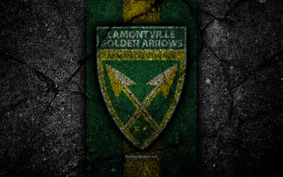 Lamontville Golden Arrows FC, 4k, emblem, South African Premier League, soccer, logo, South Africa, grunge, Lamontville Golden Arrows, black stone, asphalt texture, football, FC Lamontville Golden Arrows