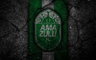 AmaZulu FC, 4k, emblem, South African Premier League, soccer, logo, South Africa, grunge, AmaZulu, black stone, asphalt texture, football, FC AmaZulu
