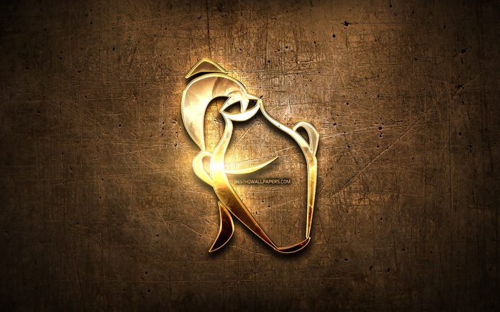 Altın kova BURCU, metal arka plan, yaratıcı sanat, bur&#231;lar, Kova BURCU, astroloji, Kova, astroloji işareti Kova zodyak sembol