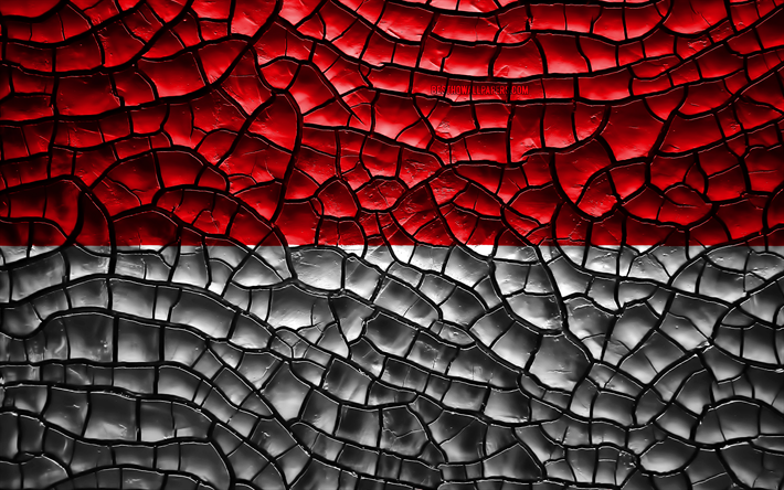 Flag of Salzburg, 4k, austrian states, cracked soil, Austria, Salzburg flag, 3D art, Salzburg, States of Austria, administrative districts, Salzburg 3D flag