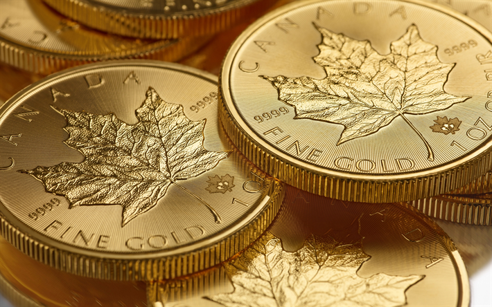 Kanadan Gold Maple Leaf, kultaa jalometalliharkot kolikon, kultakolikoita, kanadan kultaa, 9999 millesimal hienous, 24 karaattia kolikon, Royal Canadian Mint, rahoituksen k&#228;sitteit&#228;, kultaa