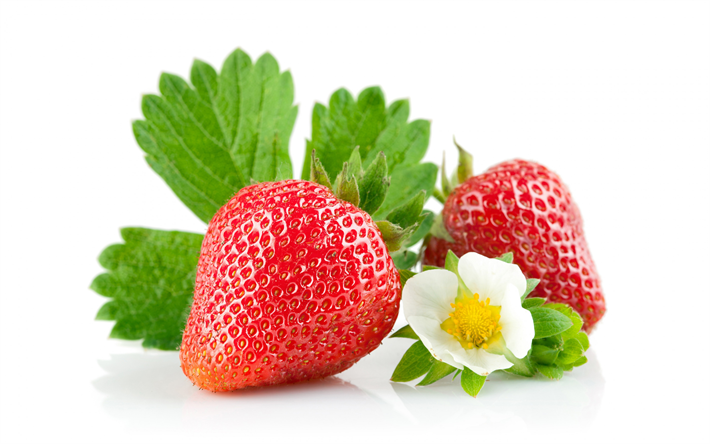 strawberry, berry, white flower, strawberry on a white background, ripe berries