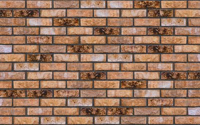ma&#231;on brun, plan rapproch&#233;, briques identiques, briques brunes, textures de briques, mur de briques, fond de briques, fond brun de pierre, briques, fond brun de briques