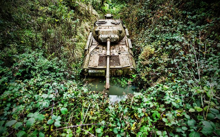 abandoned tank, jungle, thickets, armored vehicles, tanks, military equipment