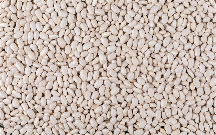beans texture, beans background, white beans, Phaseolus texture, wild bean texture