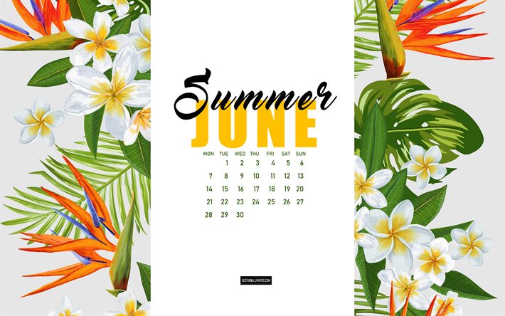 Calendrier juin 2021, fleurs tropicales, juin, calendriers d&#39;&#233;t&#233; 2021, fond d&#39;&#233;t&#233;, calendrier de juin 2021, calendrier avec fleurs