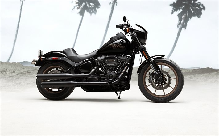 Harley-Davidson Low Rider S, sivukuva, 2020 polkupy&#246;r&#228;&#228;, amerikkalainen motorcyles, Harley-Davidson
