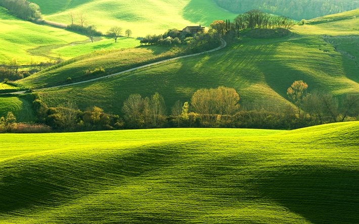La toscana, 4k, el verano, la hermosa naturaleza, el verde de las colinas, Italia, Europa