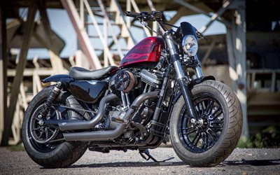 Harley-Davidson Sportster, 2020, vista laterale, esteriore, nuovo nero rosso Sportster, moto americane, Harley-Davidson