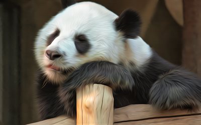 panda, art, cute animals, sleeping panda, bears, Ailuropoda