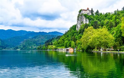 O Lago De Bled, ver&#227;o, floresta, Eslov&#233;nia, Europa