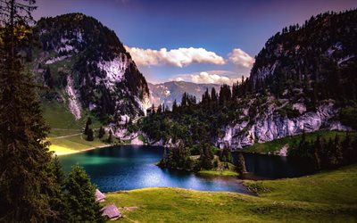 belo lago de montanha, floresta, Alpes, paisagem de montanha, Hinterstockensee, Su&#237;&#231;a
