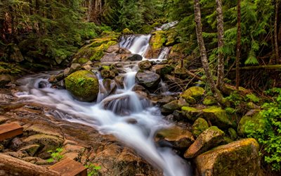 mountain river, waterfall, forest, mountains, stones, moss