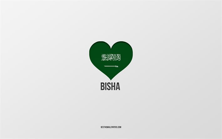 I Love Bisha, cidades da Ar&#225;bia Saudita, Dia de Bisha, Ar&#225;bia Saudita, Bisha, fundo cinza, cora&#231;&#227;o da bandeira da Ar&#225;bia Saudita, Love Bisha