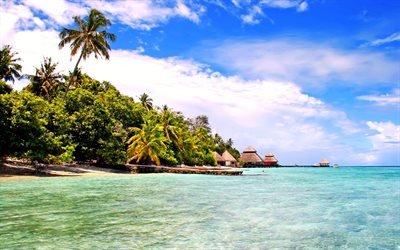 Maldivas, playa, islas tropicales, mar, verano, palmas, las vacaciones de verano