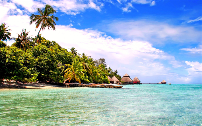 جزر المالديف, الشاطئ, الجزر الاستوائية, المحيط, الصيف, النخيل, عطلة الصيف