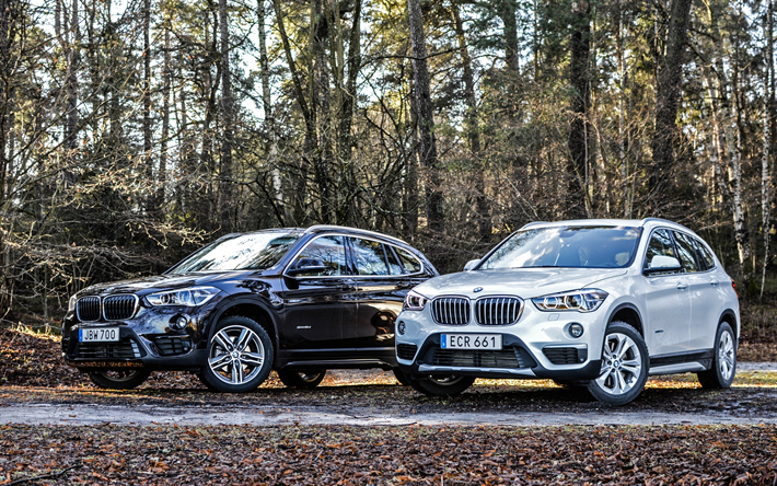 BMW X1, 2017, F48, Delningsfilter, vit X1, svart X1, Tyska bilar, BMW