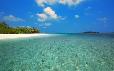 Tropiska &#246;n, ocean, sommar, beach, palmer, vit sand, resten, Maldiverna