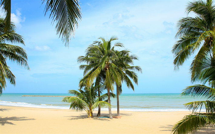tropical island, palms, beach, sand, ocean, summer, bay