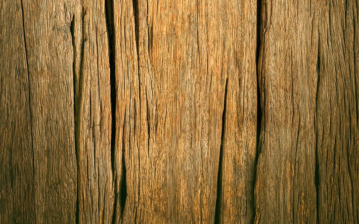 cracked wooden texture, macro, vertical wooden texture, brown wooden background, wooden textures, brown backgrounds, wooden backgrounds, brown wood