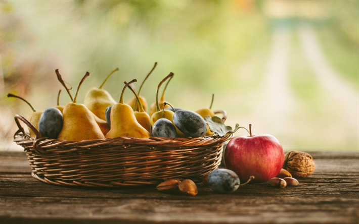 frutas, peras, ma&#231;&#227;s, ameixas, colheita de outono