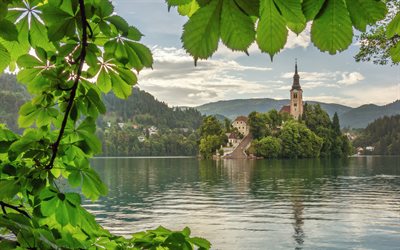 Bled, chestnuts, lake, Alps, summer, Slovenia