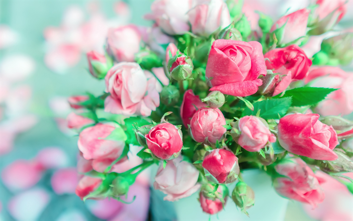 buqu&#234; de rosas, close-up, rosas cor-de-rosa, lindas flores, gomos, rosas