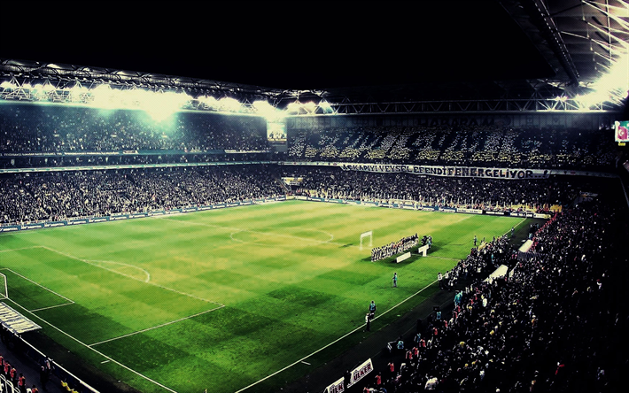 Sukru Saracoglu Stadium, el partido, el Fenerbahce Estadio, f&#250;tbol, Estambul, Turqu&#237;a