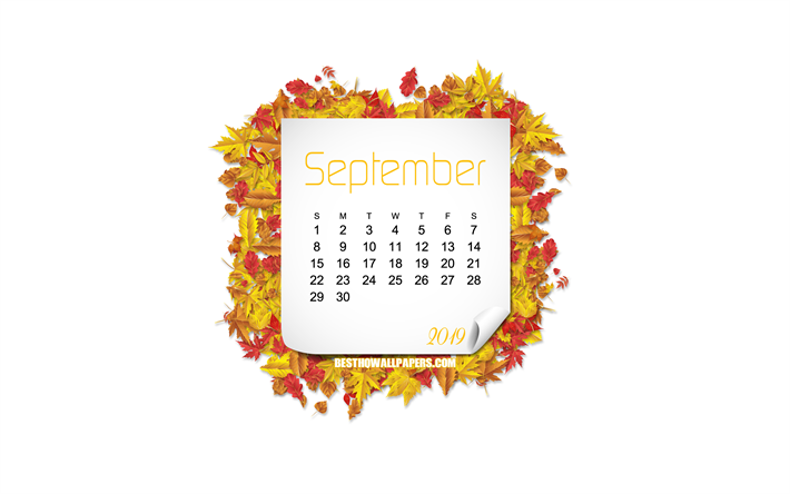 september 2019 kalender, herbst, bl&#228;tter, wei&#223;es, hintergrund, rahmen, 2019 september-kalender, kreative kunst