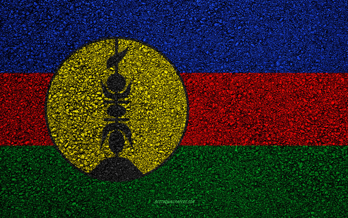Lipun Uusi-Kaledonia, asfaltti rakenne, lippu asfaltilla, Uusi-Kaledonia lippu, Oseania, Uusi-Kaledonia, liput Oseania maissa