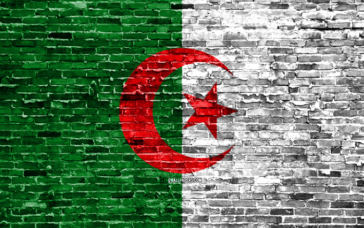 4k, Algerian flag, bricks texture, Africa, national symbols, Flag of Algeria, brickwall, Algeria 3D flag, African countries, Algeria