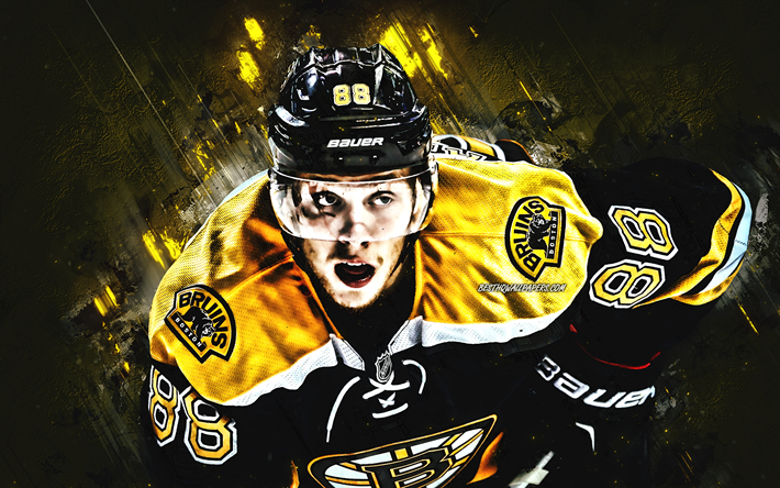 David Pastrnak, Boston Bruins, portrait, Czech hockey player, yellow creative background, NHL, USA, hockey