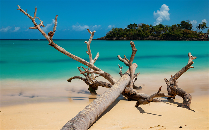 Samana, tropiska &#246;n, ocean, sommar, kusten, Dominikanska Republiken, Norra Atlanten