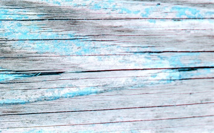 Texture bois fissur&#233;, macro, texture bois horizontale, fond en bois gris, textures en bois, arri&#232;re-plans gris, arri&#232;re-plans en bois, bois gris