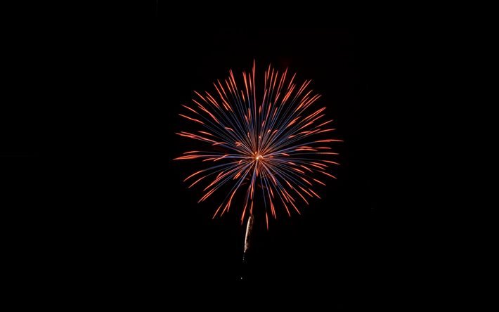 fuochi d&#39;artificio nel cielo notturno, fuochi d&#39;artificio rossi, festa, fuochi d&#39;artificio, cielo nero