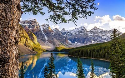 Moraine Lake, sommar, berg, skogen, Banff National Park, Kanada, Alberta