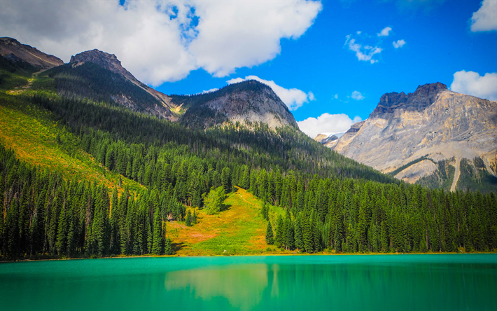 Emerald Lake, 4k, montanhas, floresta, Yoho National Park, Canada